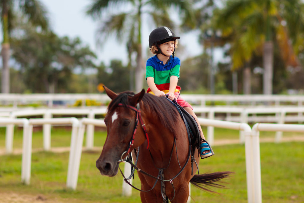 Horse Camps In Singapore