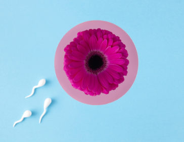 How To Talk To Your Kids About Sex – Tips From The Experts!