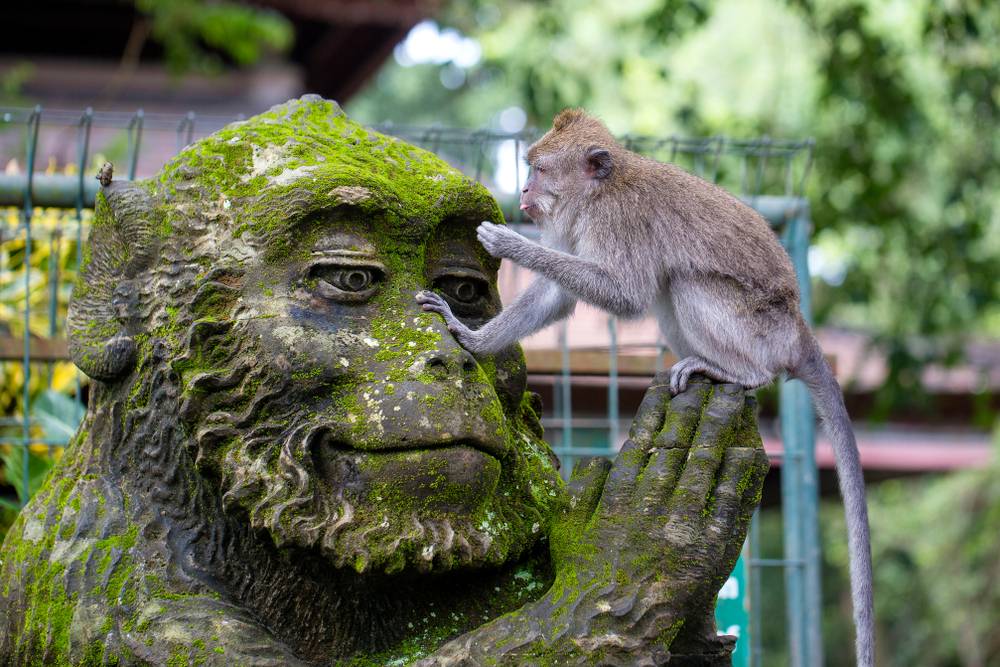 Monkey Forest ubud