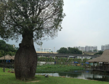 Bottle Tree Park