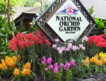 Orchid Garden With Kids