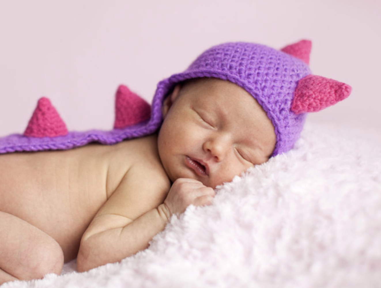 Cheeky Monkey Photography