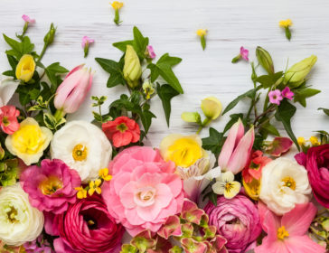 Clea Flower Boutique For Flowers In Jakarta