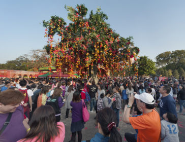 Visiting The Famous Lam Tseun Wishing Trees In Hong Kong