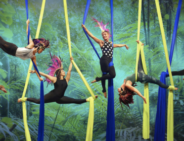 Bali Circus For Acrobat Class For Kids And Adults