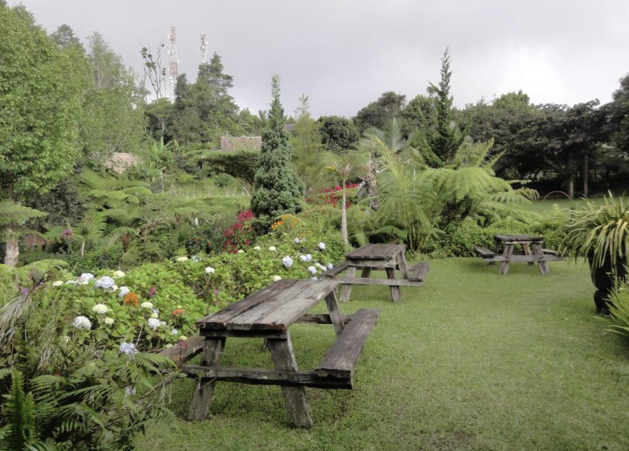 Warung Rekreasi organic farm and restaurant and playground in Bali