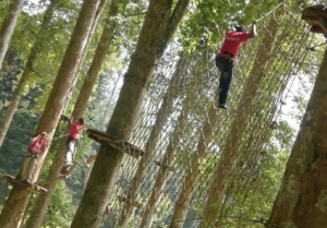 Bali Treetop Adventure Park In Bedugul For Fun Canopy Adventures