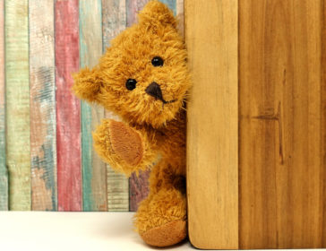 Teddy House