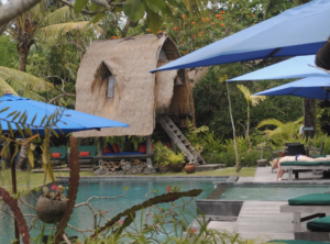 Desa Seni Eco-Friendly Village Resort In Canggu