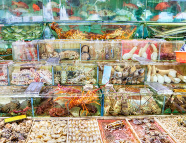 Best Local Family-Friendly Seafood Restaurants In Hong Kong