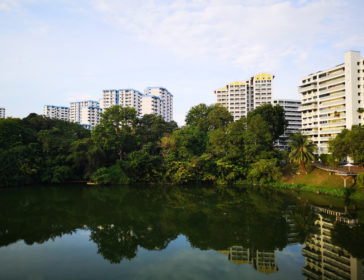 Visiting Pang Sua Pond Wetlands In Singapore