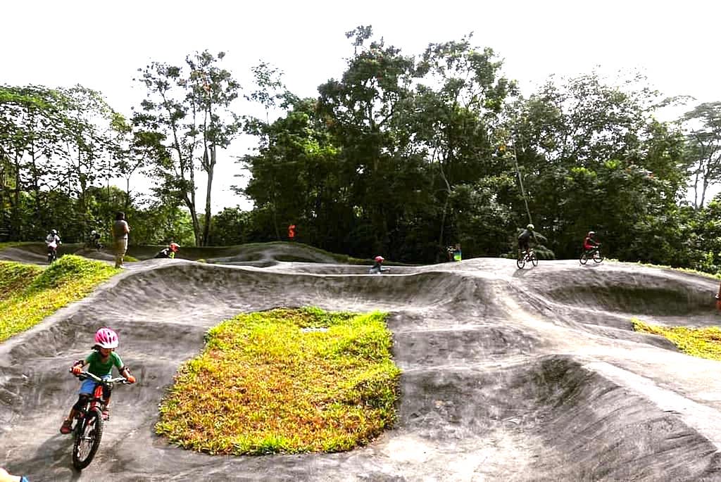 Chestnut-Nature-Park-Biking-Trails-Singapore