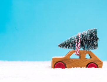 Find Your Perfect Tree This Christmas At Xmastreesonline