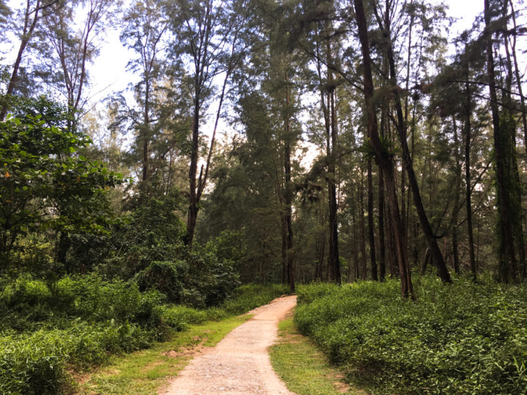 Coney Island Cycling Singapore
