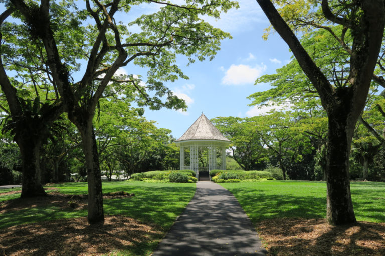 Singapore-Botanic-Gardens-Picnic-Singapore