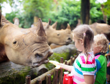 10 Things To Do With Toddlers In Singapore