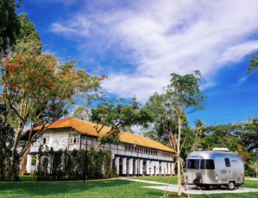 Wheeler’s Estate With Kids For Picnics And Play In Singapore