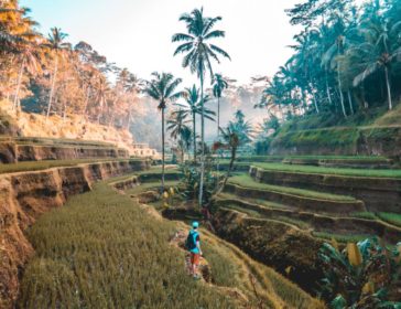 51 Things To Do In Bali With Kids, Babies, Toddlers, And Teens *UPDATED