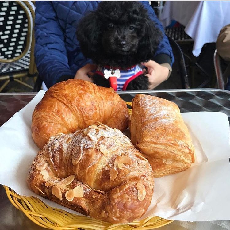 Ali Oli Bakery Hong Kong