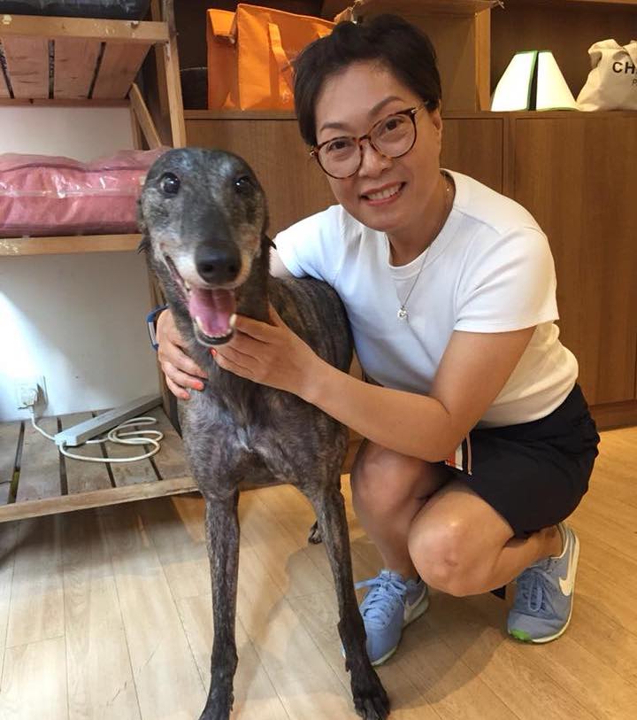 Pet Movers Relocation Hong Kong