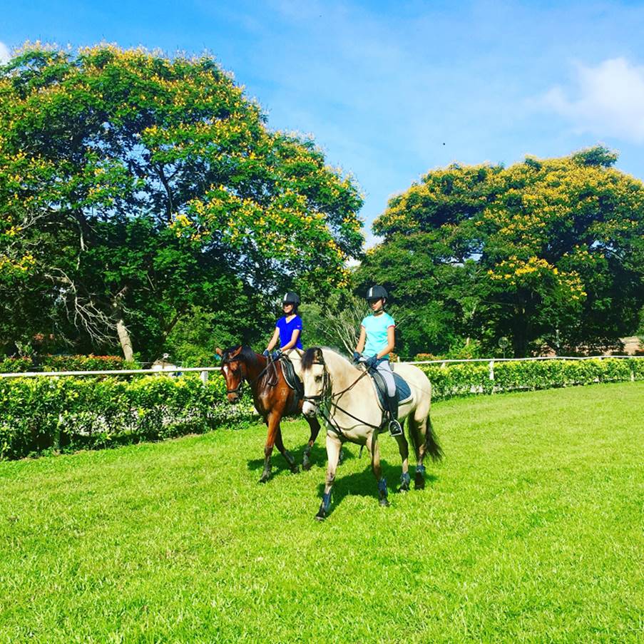 Bukit Timah Saddle Club Singapore