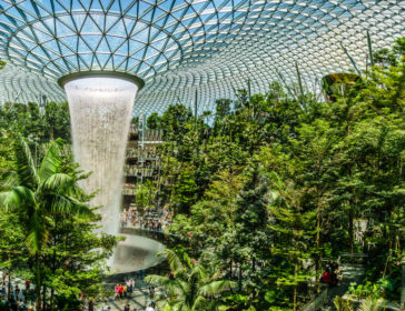 Changi Airport Food Trail