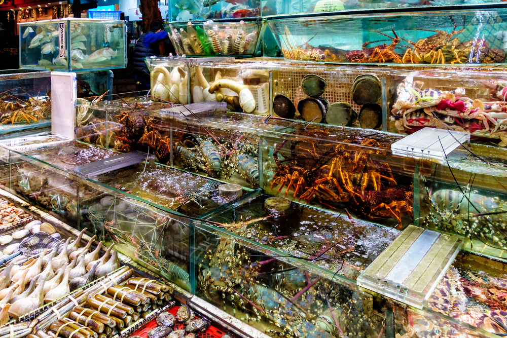 Where To Eat In Clearwater Bay, Hong Kong