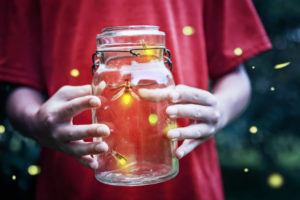 How To Enjoy Firefly Season in Hong Kong?