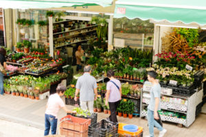 Guide To The Flower Market In Mongkok – Opening Times, Flowers, How To Get There?