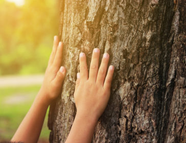Discover The Best Forest Schools In Hong Kong