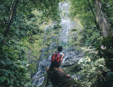 Amazing Green Adventures & Eco-Friendly Activities For Kids In Hong Kong