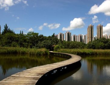 Hong Kong Wetland Park In New Territories