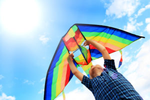 Kite Flying In Clearwater Bay Country Park