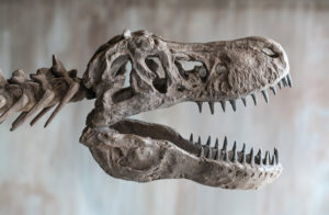 Living Dinosaurs Exhibition In Macau
