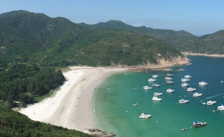 Long Ke Wan With The Farm - Hong Kong - Little Steps Asia