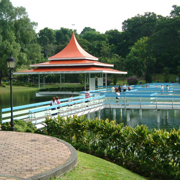 MacRitchie Reservoir Park Singapore