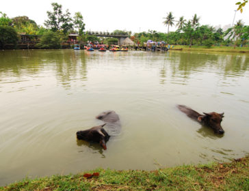 Ocean Ecopark At Ancol Taman Impian