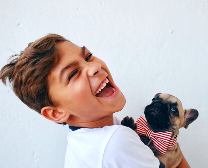 Pet Adoptathon With SPCA - Hong Kong - Little Steps Asia