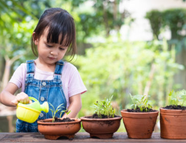 Reggio Emilia Preschools And Schools In Singapore