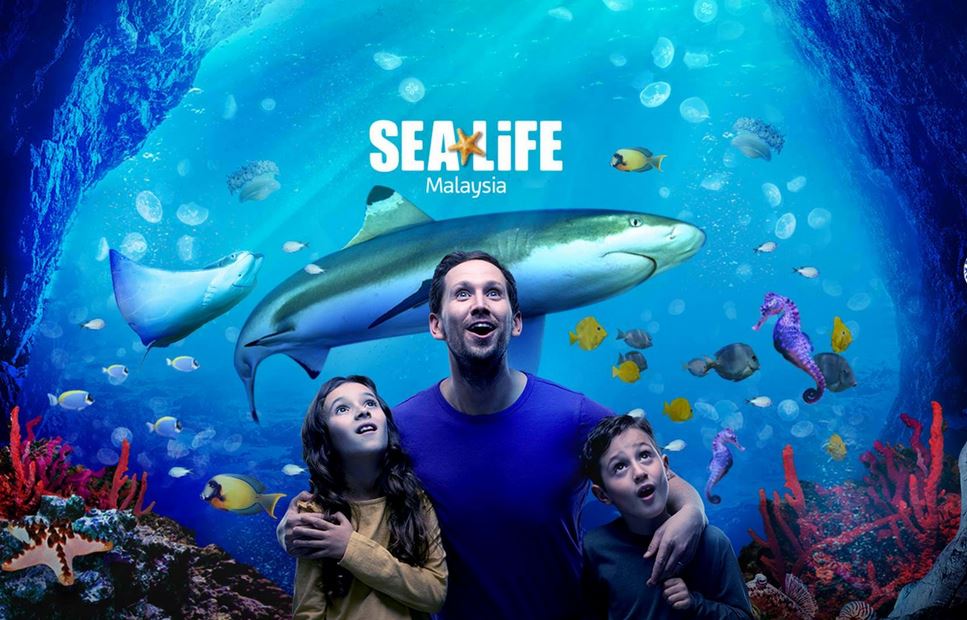 SEALIFE Malaysia - Johor Bahru - Little Steps Asia