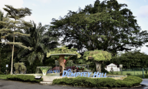 Family Guide To Dempsey Hill: Fun Activities And Dining Spots For Kids