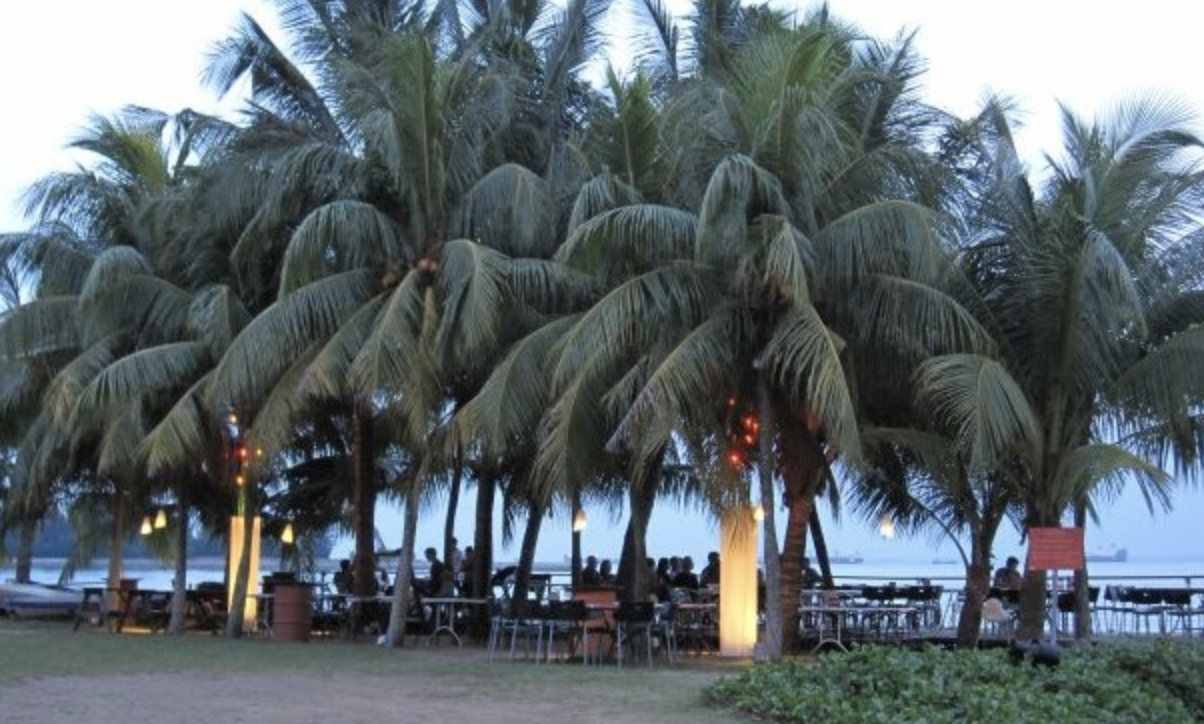 Belly View Cafe In Singapore