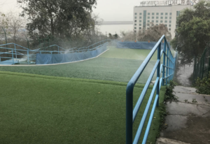 Grass Sliding In Macau At Taipa Grande Nature Park