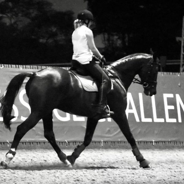 Girl Riding A Horse At Singapore Turf Club Riding Centre