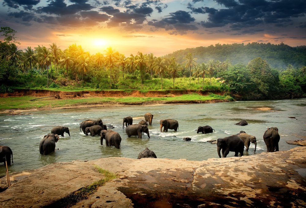 Visiting Sri Lanka With kids