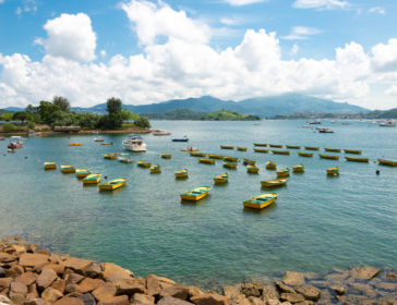 Visiting Tai Mei Tuk And Plover Cove Reservoir In Hong Kong