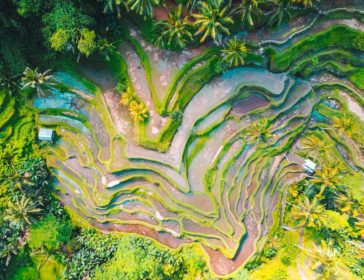 Top 10 Things To Do In Bali With Kids