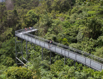 Top 10 Nature Walks In Singapore For Kids