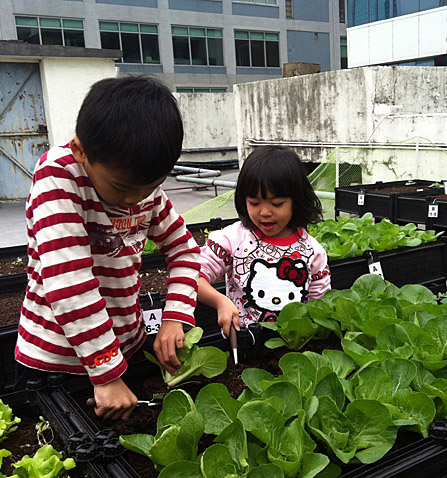 Leisure Farm, Hong Kong