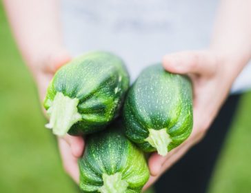 Visiting Vegetable, Fruit, And Strawberry Farms In Singapore